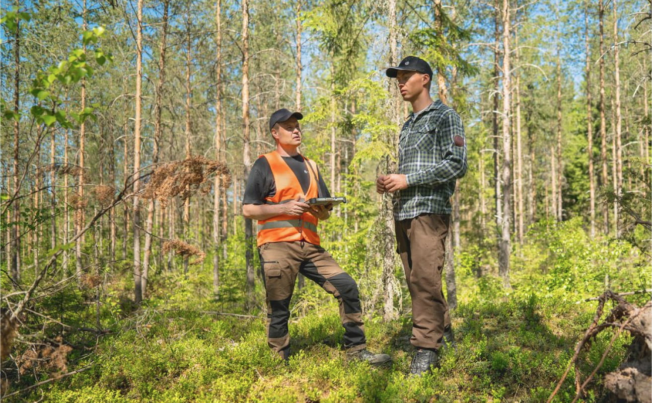 Metsänhoitoyhdistyksen jäsenyys kannattaa.