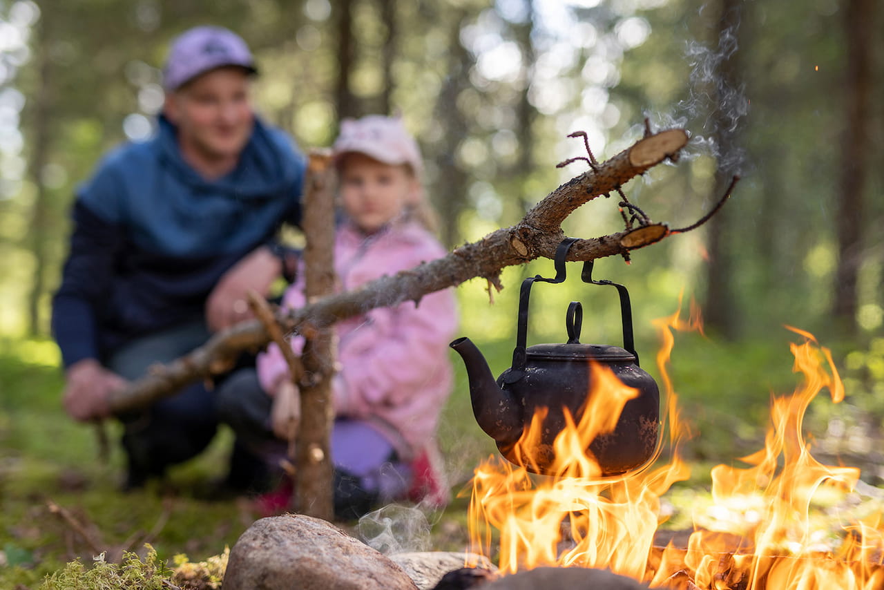 Palvelut ja metsäasiantuntija ovat jäsenyyden ydin