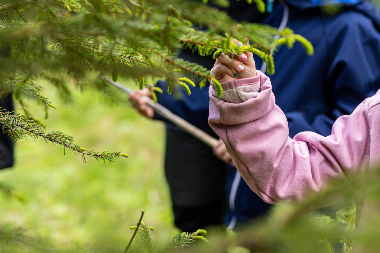 Metsävisa haastaa nuoret vuosittain