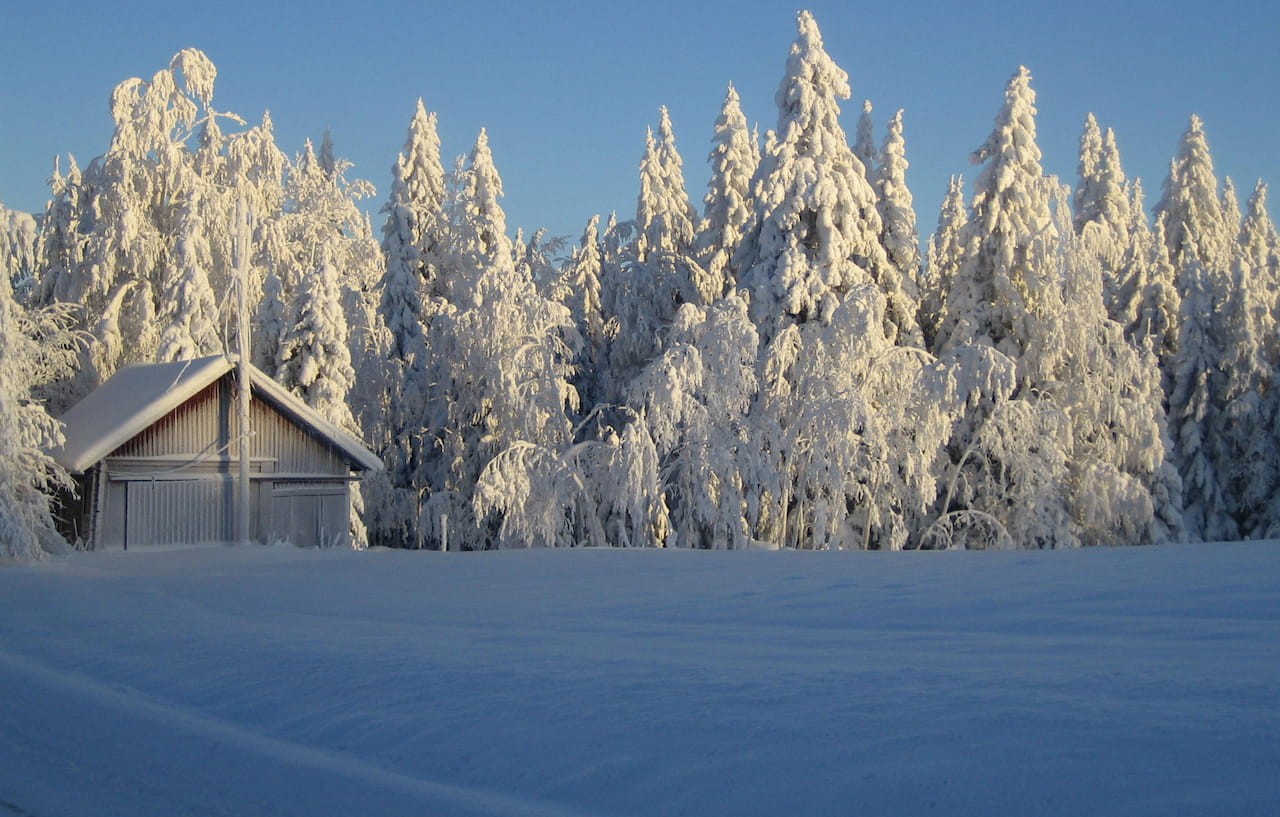 Joulukuun edut mhy-jäsenelle