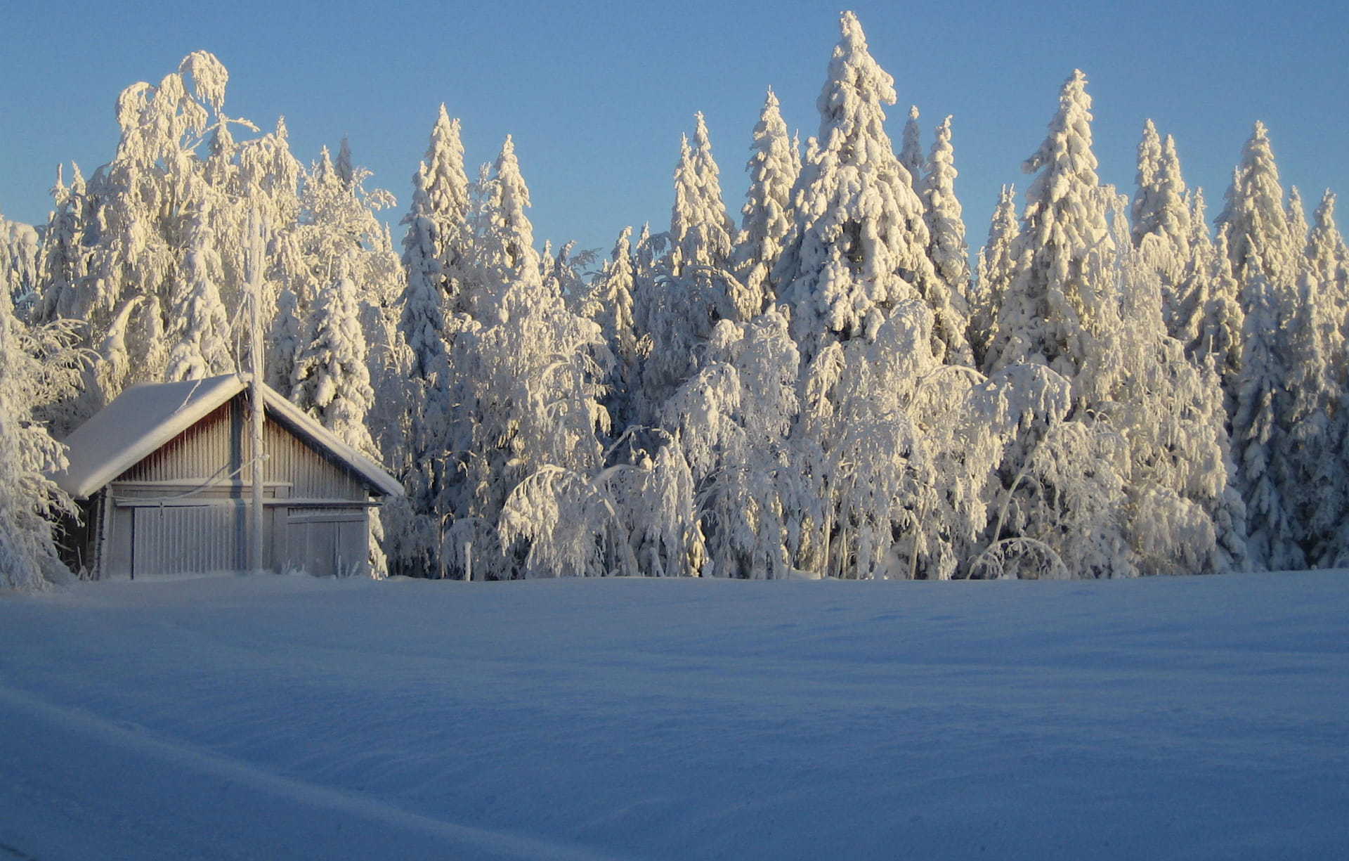Joulukuun edut mhy-jäsenelle