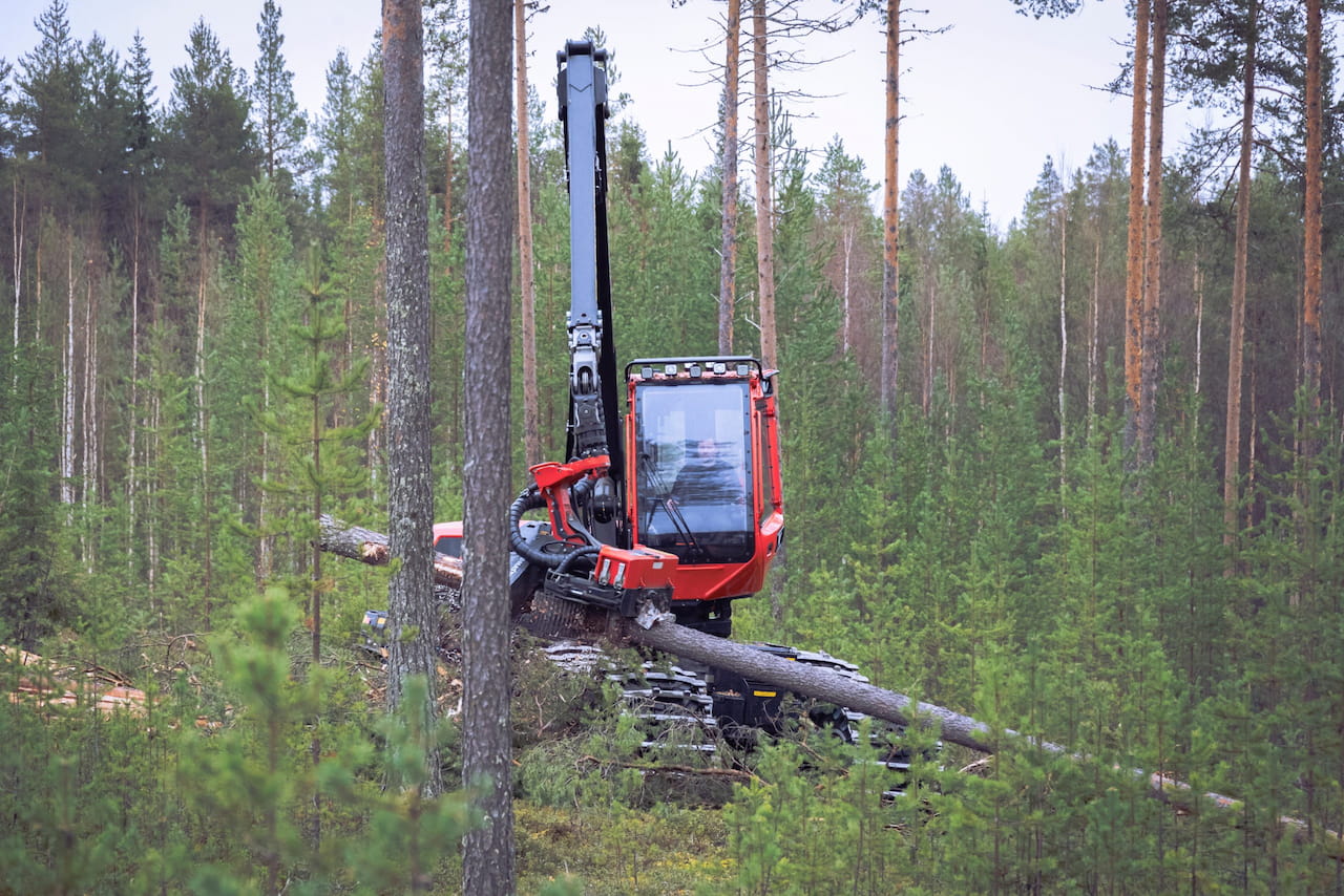 Lapissa metsänomistajat satsaavat puukauppaan, metsänhoitoon ja luonnonhoitoon 