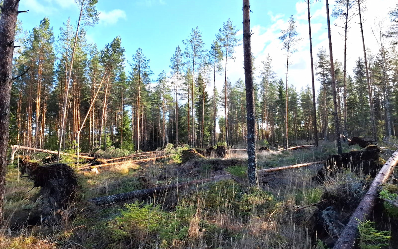 Metsänomistajat nro 2 2022