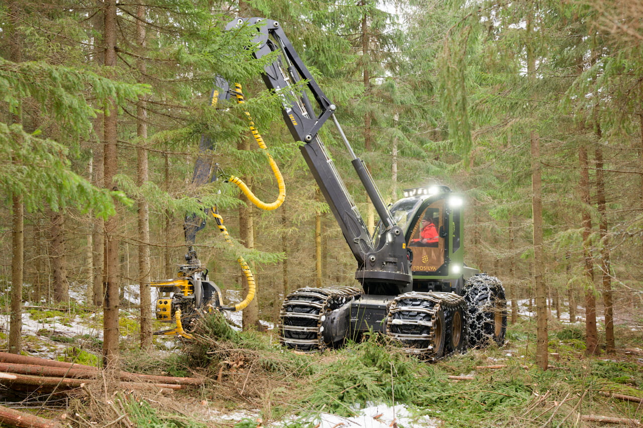 Hakuaika taimikon- ja nuoren metsän hoidon Metka- tukeen lyheni