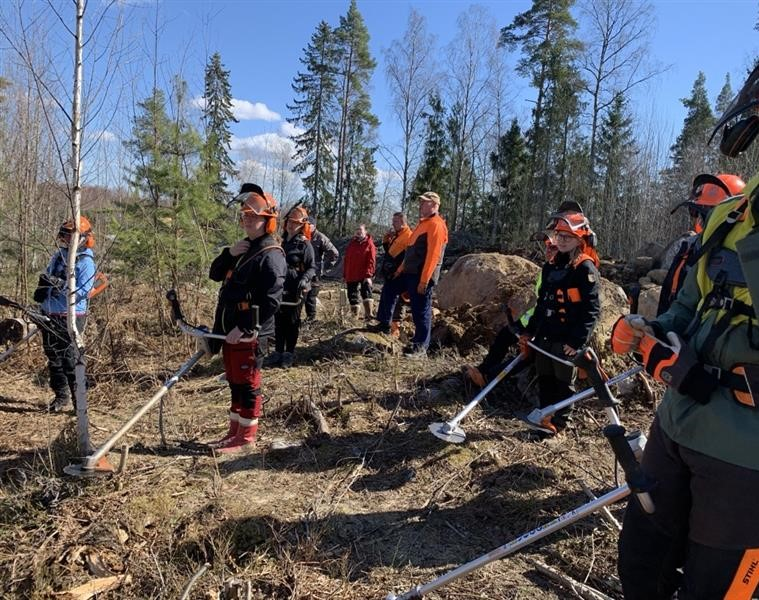 MTK ja MHY infopiste merkitty karttakuvaan keltaisella nuolella
