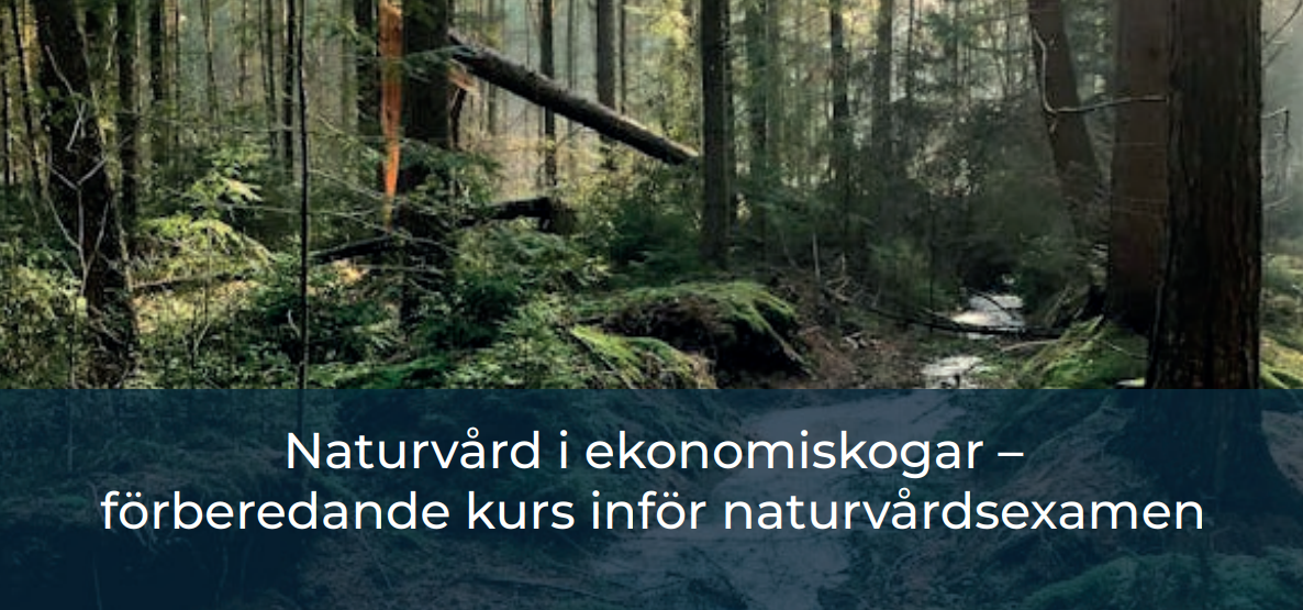 Naturvård i ekonomiskogar