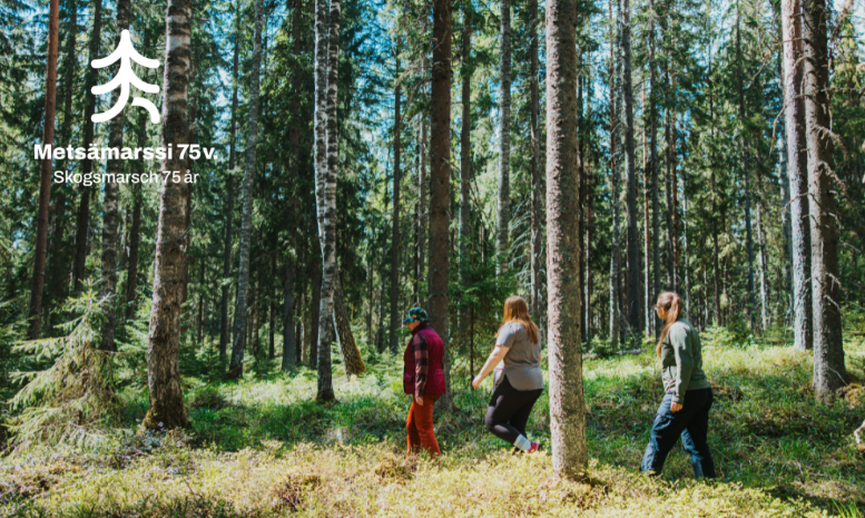 Monitavoitteisuus on metsänomistamisen valtavirtaa – silti joka kymmenes ei ole määrittänyt tavoitteitaan