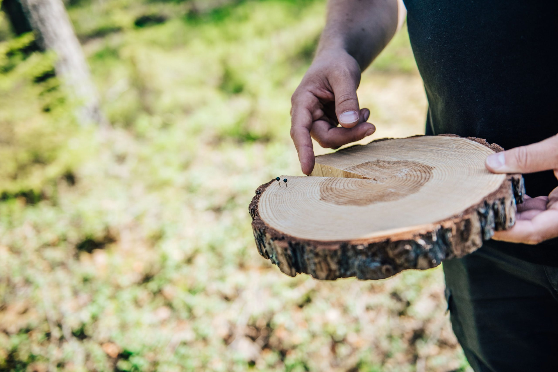 Lannoitus on tärkeä osa metsänhoitoa